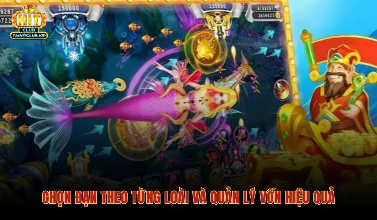 Mẹo chơi bắn cá chọn đạn đúng và quản lý vốn
