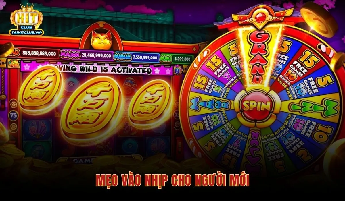 meo-vao-nhip-cho-nguoi-moi